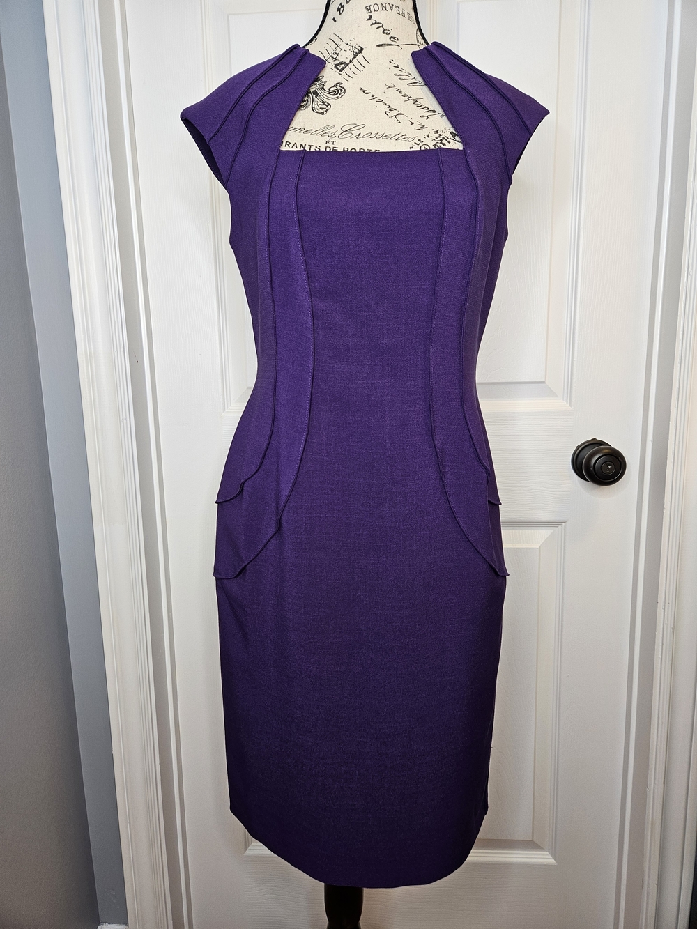 cleo Purple Structured Sheath Dress Princess Seam Cap Sleeve Size 6 Formal